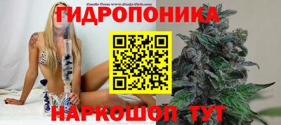 бошки Туймазы