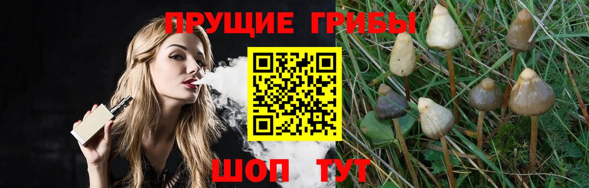 Новочебоксарск  Псилоцибиновые грибы мицелий  Вход с VPN 